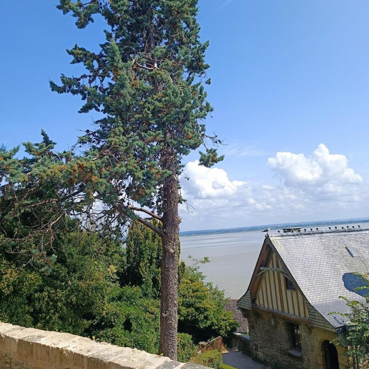 Chez Adele Villa Mont-Saint-Michel Buitenkant foto